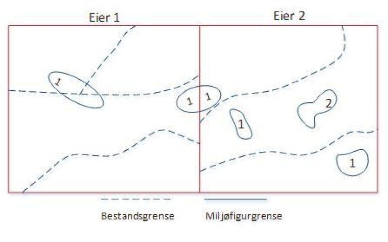 Bilde som viser hvordan en miljøfigur skal deles opp dersom den krysser bestandsgrense eller eiendomsgrense