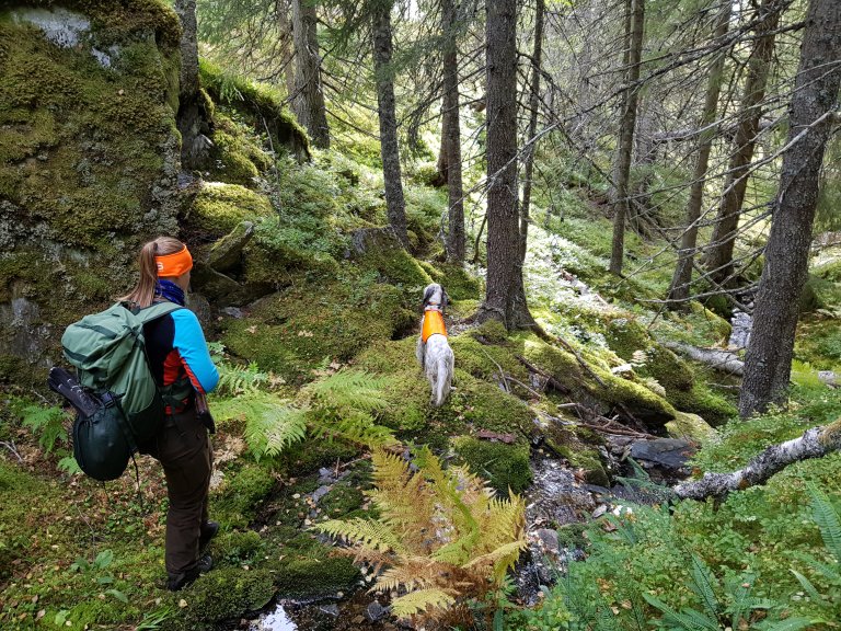 Bilde viser jeger med hund i skogen 