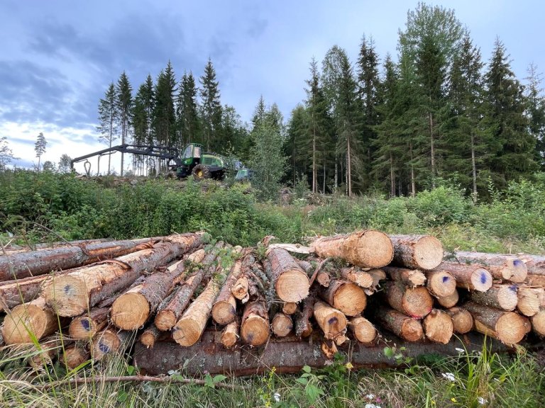 Bilde viser tømmeravvirkning og en traktor