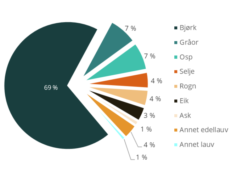 Volumfordeling av lauvtrær i all skog i 2020. Kilde: Landsskogtakseringen. Bjørk er det dominerende lauvtreslaget med 69 prosent.