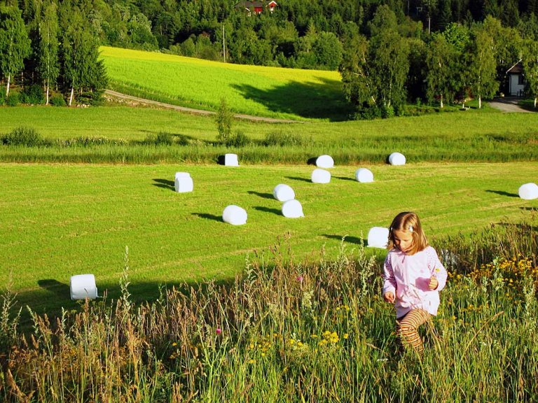 Jente-foran-jorde-med-høyballer-original.jpg