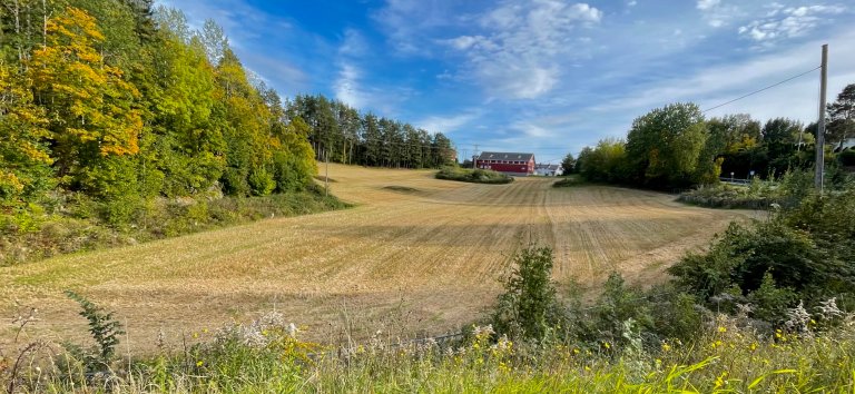 Gårdsdrift i Nærsnes, Viken fylke. Bilde av gul kornåker med rød låve i bakgrunnen.  Foto: Landbruksdirektoratet