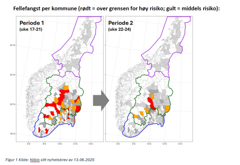 Kart over fangst av barkbiller. Indre deler av Østlandet har høye tall i første periode. 