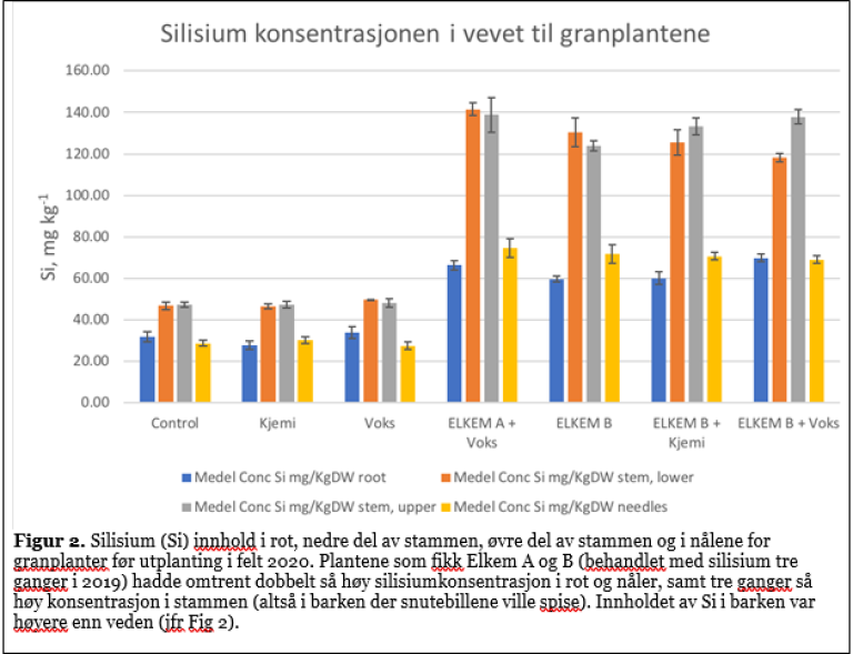 Silisium konsentrasjonen i vevet til granplantene.png