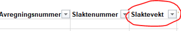 Bilde fra rapporteringssystem som viser kolonne for utfylling av slaktevekt.