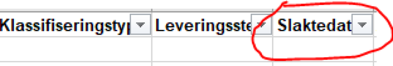 Bilde fra rapporteringssystem som viser kolonne for utfylling av slaktested.