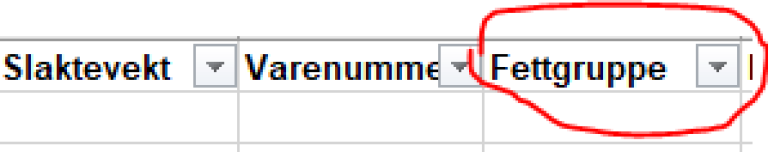 Bilde fra rapporteringssystem som viser kolonne for utfylling av fettgruppe.