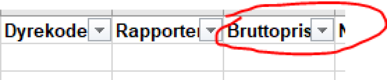 Bilde fra rapporteringssystem som viser kolonne for utfylling av bruttopris.