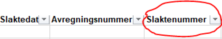 Bilde fra rapporteringssystem som viser kolonne for utfylling av slaktenummer.