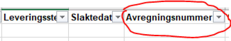 Bilde fra rapporteringssystem som viser kolonne for utfylling av avregningsnummer.