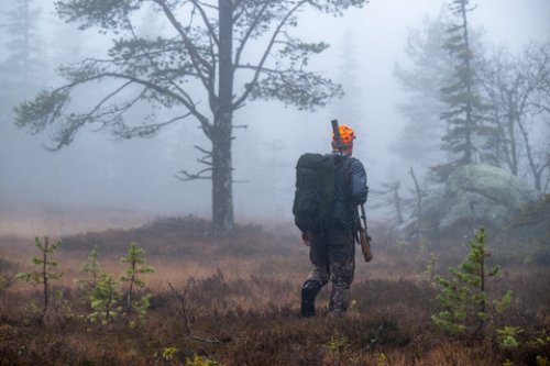 Jeger i skogen